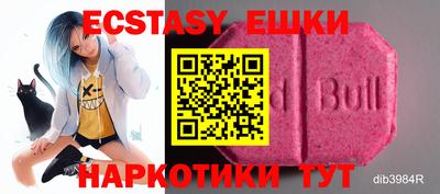 стафф Бийск