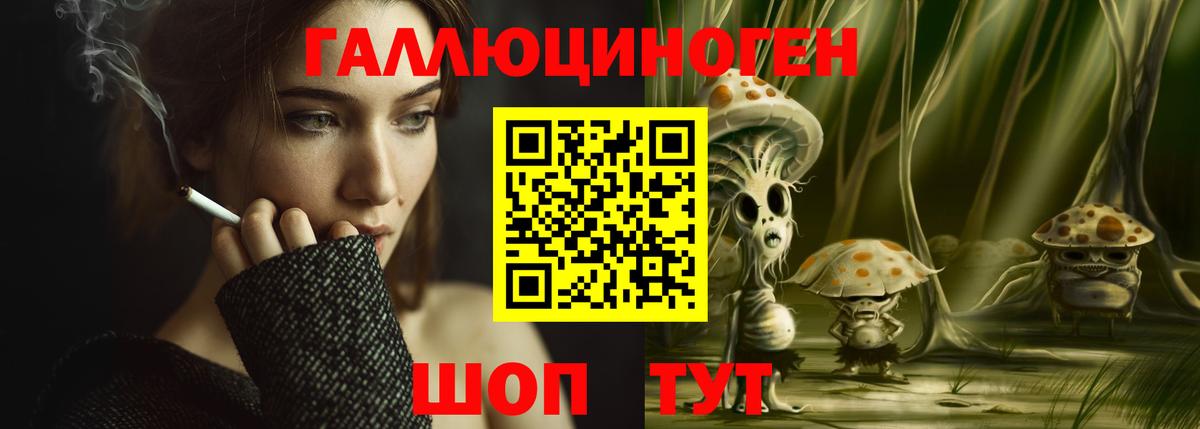 Зеленогорск  Галлюциногенные грибы MAGIC MUSHROOMS  Вход с VPN 